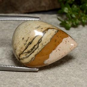 12.42 ct Multicolor Jasper Stone, Natural Jasper in Pear Cabochon Shape for Sale