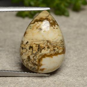 9.4ct Pear Cabochon Multicolor Jasper Gem for sale 9.4ct Pear Cabochon Multicolor Jasper Gem (ID: 488543)