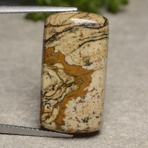 13.18 ct Multicolor Jasper Gemstone, Jasper Gem in Cushion Cabochon Shape for Sale.
