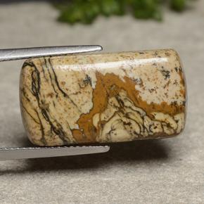 13.18 ct Multicolor Jasper Stone, Natural Jasper in Cushion Cabochon Shape for Sale