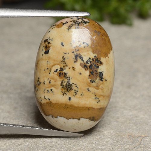 14.50ct Natural Multicolor Jasper, Oval, Opaque