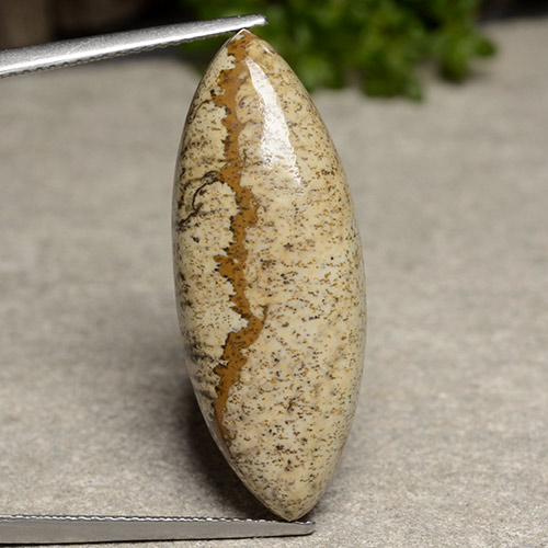 Multicolor Jasper Gem - 17.2ct Marquise Cabochon (ID: 488549)