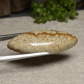 Jasper Gemstone in 31.7 x 12.3 mm Size for Sale, Jasper Stone in Multicolor Color