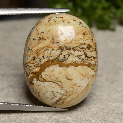 Multicolor Jasper Gem - 21ct Oval Cabochon (ID: 488552)