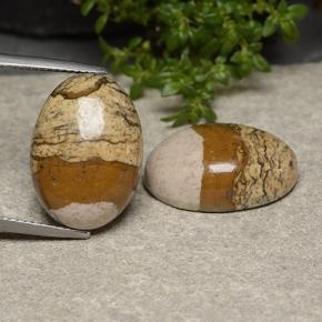 12.6ct Oval Cabochon Multicolor Jasper Gem for sale 12.6ct Oval Cabochon Multicolor Jasper Gem (ID: 488554)