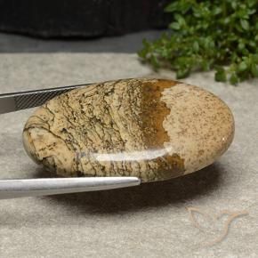 Jasper Gemstone in 37.1 x 23.2 mm Size for Sale, Jasper Stone in Multicolor Color