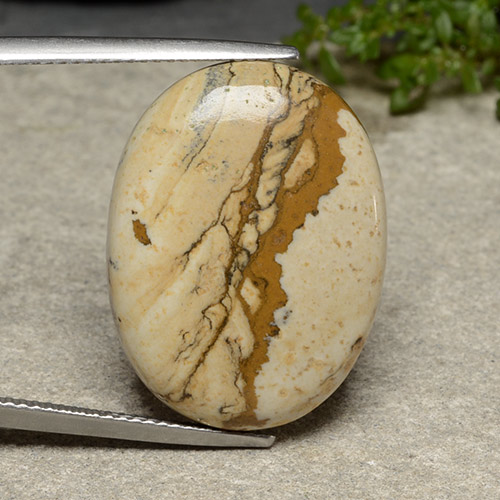 Multicolor Jasper Gem - 22.1ct Oval Cabochon (ID: 488561)