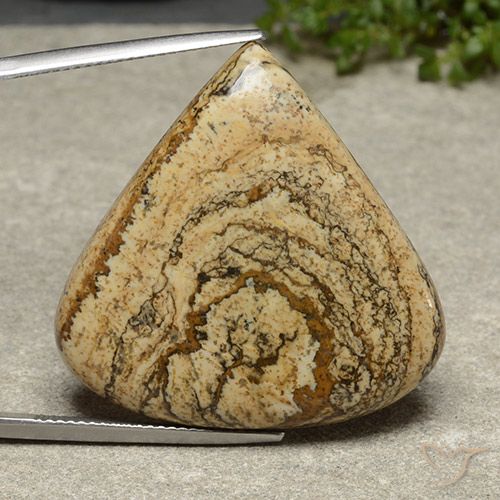 39.54ct Natural Multicolor Jasper, Pear Shape, Opaque