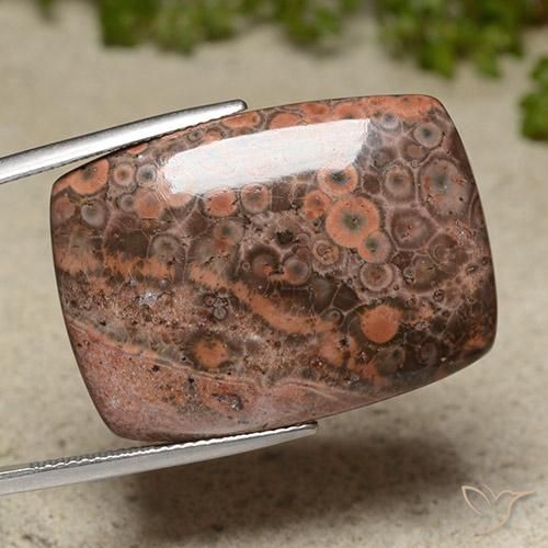 31.13 ct Multicolor Jasper Stone, Natural Jasper in Cushion Cabochon Shape for Sale
