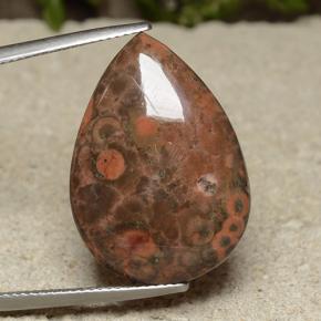 Mehrfarbig Jaspis Edelstein - 14.6ct Birnen Cabochon (ID: 491397)