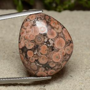 Mehrfarbig Jaspis Edelstein - 11.9ct Haifischflosse Cabochon (ID: 491399)