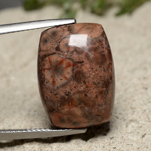 Multicolor Jasper Gem - 11ct Cushion Cabochon (ID: 491402)