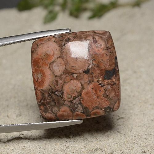 Multicolor Jasper Gem - 16.3ct Square Cabochon (ID: 491405)