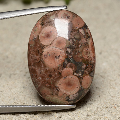Multicolor Jasper Gem - 13.9ct Oval Cabochon (ID: 491406)