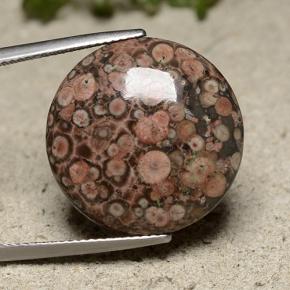 16.37 ct Multicolor Jasper Gemstone, Jasper Gem in Round Cabochon Shape for Sale.