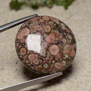 16.37 ct Multicolor Jasper Stone, Natural Jasper in Round Cabochon Shape for Sale