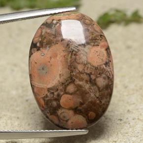 Multicolor Jasper Gem - 13ct Oval Cabochon (ID: 491648)