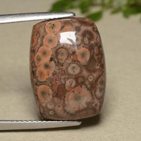 11.81 ct Multicolor Jasper Gemstone, Jasper Gem in Cushion Cabochon Shape for Sale.