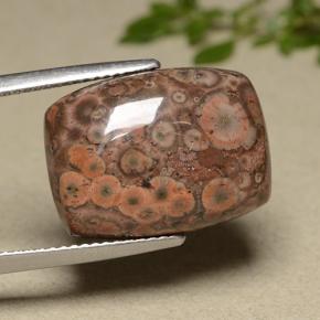 11.81 ct Multicolor Jasper Stone, Natural Jasper in Cushion Cabochon Shape for Sale