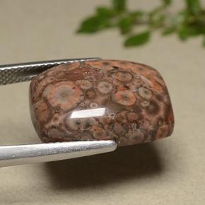 Jasper Gemstone in 18.4 x 13.5 mm Size for Sale, Jasper Stone in Multicolor Color