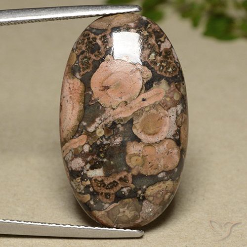Multicolor Jasper Gem - 13.6ct Oval Cabochon (ID: 491930)