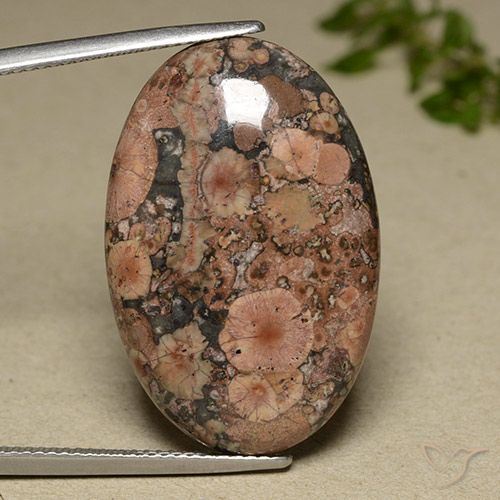 Multicolor Jasper Gem - 22.3ct Oval Cabochon (ID: 491931)
