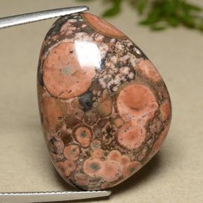 Multicolor Jasper Gem - 25.5ct Shark Fin Cabochon (ID: 491937)