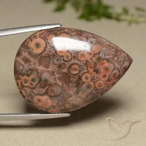 27.32 ct Multicolor Jasper Stone, Natural Jasper in Pear Cabochon Shape for Sale