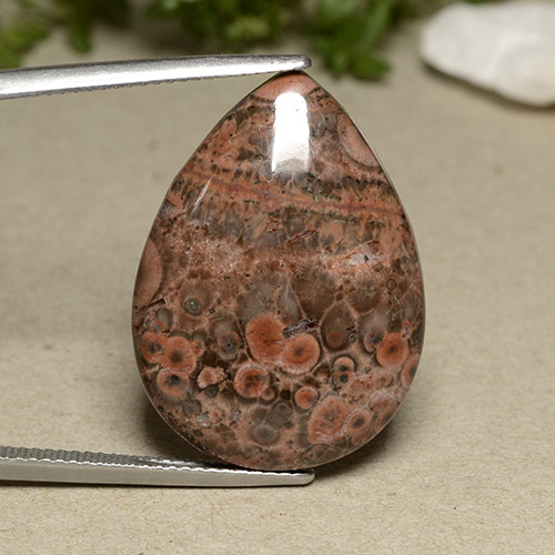 Multicolor Jasper Gem - 20.3ct Pear Cabochon (ID: 491970)