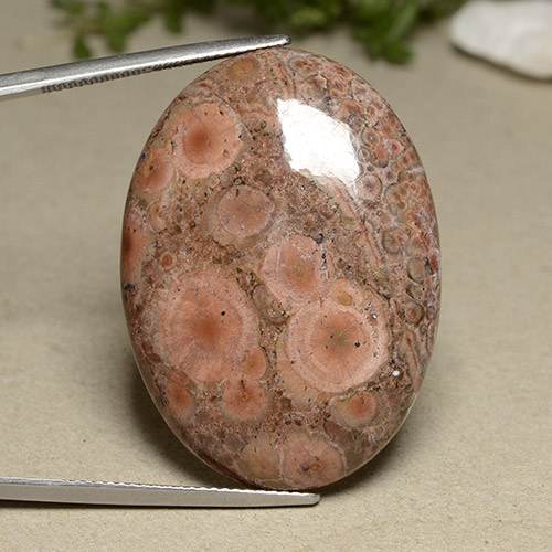 Multicolor Jasper Gem - 38.7ct Oval Cabochon (ID: 491972)