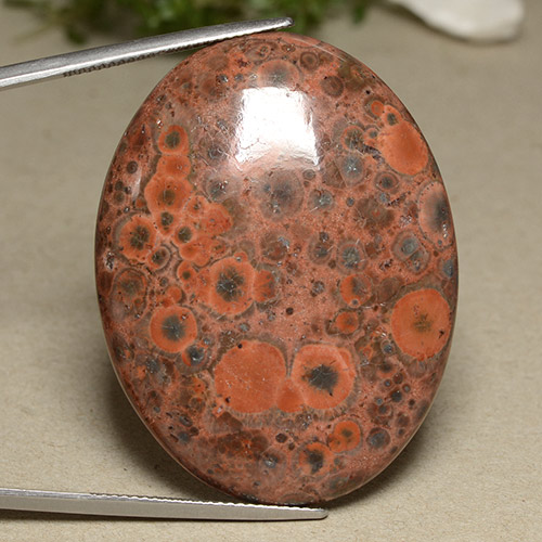 Multicolor Jasper Gem - 56.7ct Oval Cabochon (ID: 491973)