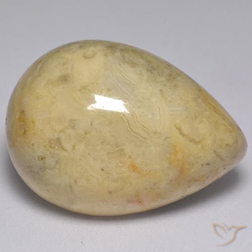 25.97 ct Multicolor Jasper Stone, Natural Jasper in Pear Cabochon Shape for Sale