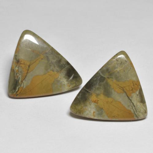 Multicolor Jasper Gem - 7.4ct Trillion Cabochon (ID: 584697)