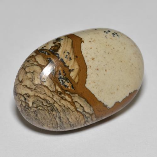 Diaspro 24,3 x 16,1mm multicolore Ovale cabochon dall'Indonesia, peso di 21,89 ct, gemma naturale non trattati in purezza Opaque, 1 pezzo Diaspro - Colore: Multicolore, durezza Mohs di 6,5 - 7 adatto per gioielli da indossare ogni giorno, Photo A