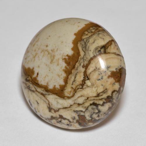 Multicolor Jasper Gem - 14.4ct Round Cabochon (ID: 597433)
