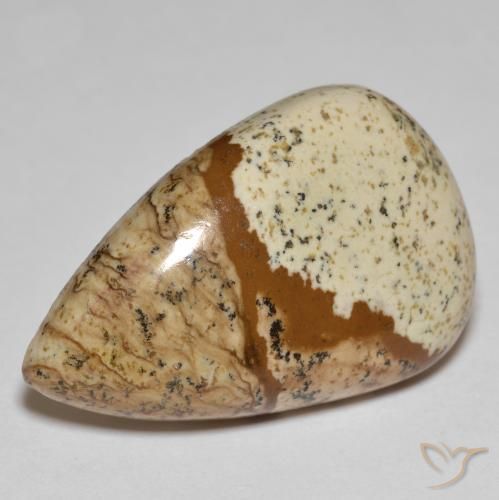 24.18 ct Multicolor Jasper Stone, Natural Jasper in Pear Cabochon Shape for Sale