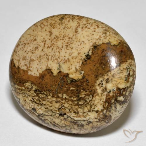 32.88 ct Multicolor Jasper Stone, Natural Jasper in Oval Cabochon Shape for Sale