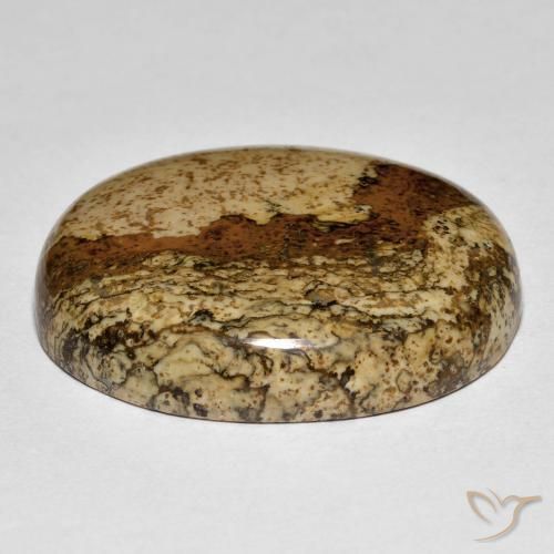 Jasper Gemstone in 26.5 x 22.7 mm Size for Sale, Jasper Stone in Multicolor Color