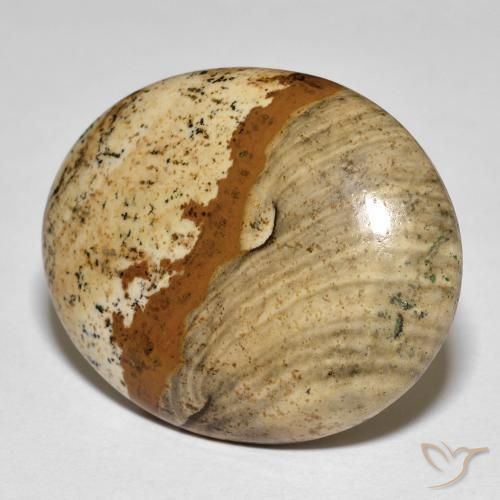 26.64ct Natural Multicolor Jasper, Oval, Opaque