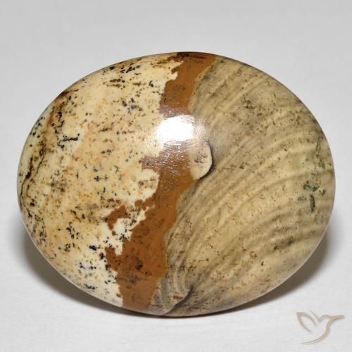 26.64 ct Multicolor Jasper Stone, Natural Jasper in Oval Cabochon Shape for Sale