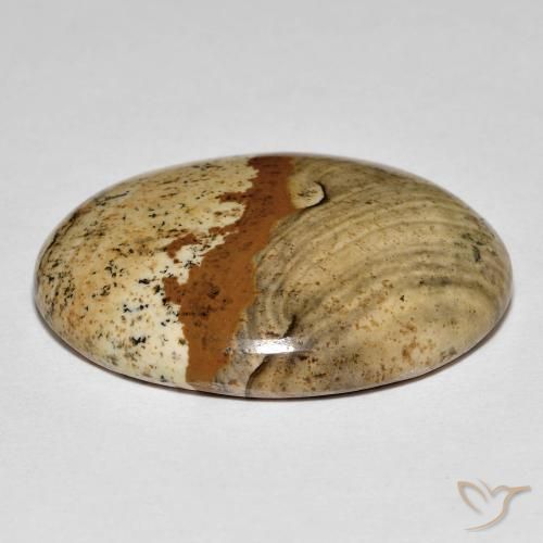 Jasper Gemstone in 26.8 x 22.3 mm Size for Sale, Jasper Stone in Multicolor Color