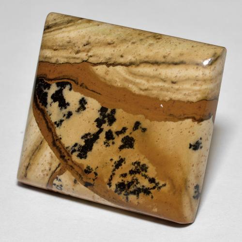 Multicolor Jasper Gem - 37.7ct Square Cabochon (ID: 598428)
