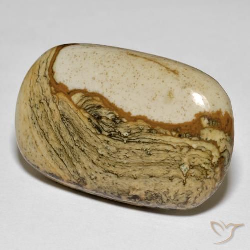 34.74 ct Multicolor Jasper Stone, Natural Jasper in Cushion Cabochon Shape for Sale