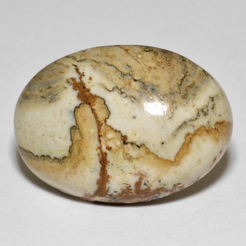 Multicolor Jasper Gem - 23.5ct Oval Cabochon (ID: 598434)