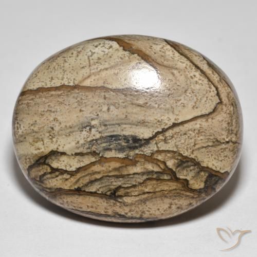 50.05 ct Multicolor Jasper Stone, Natural Jasper in Oval Cabochon Shape for Sale