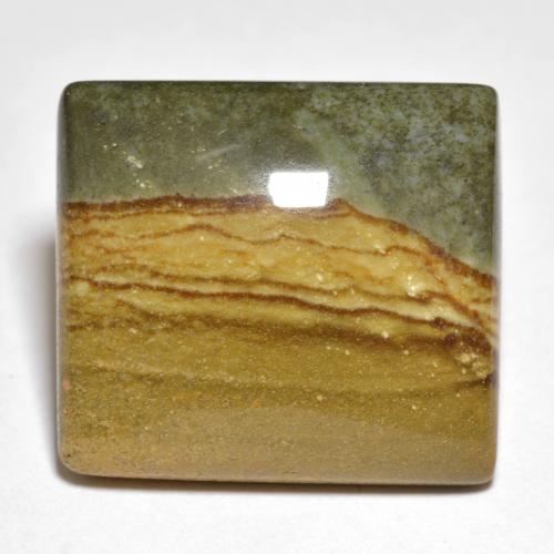 Multicolor Jasper Gem - 24.8ct Square Cabochon (ID: 599858)