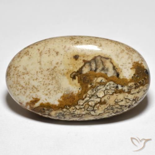 29.80ct Natural Multicolor Jasper, Oval, Opaque