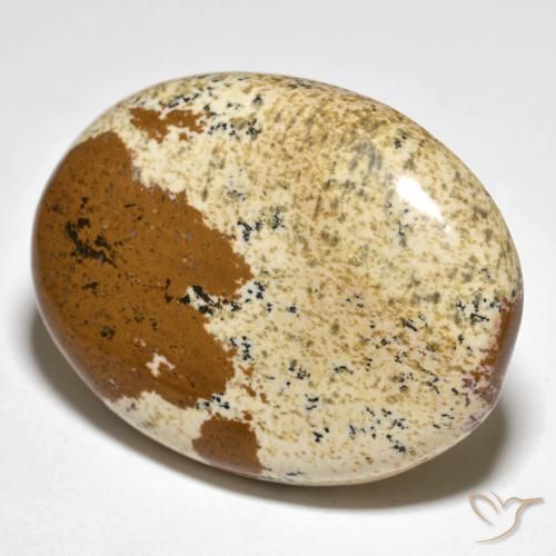 35.50 ct Multicolor Jasper Stone, Natural Jasper in Oval Cabochon Shape for Sale