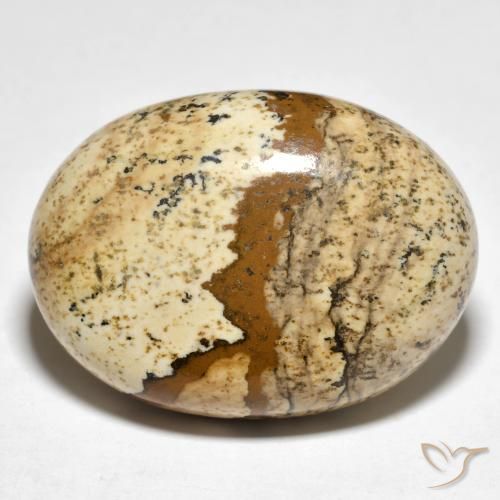 24.19ct Natural Multicolor Jasper, Oval, Opaque