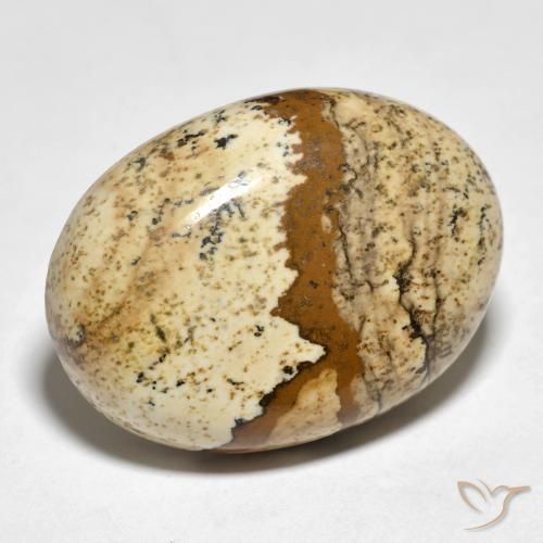 24.19 ct Multicolor Jasper Stone, Natural Jasper in Oval Cabochon Shape for Sale